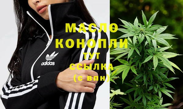 дживик Надым