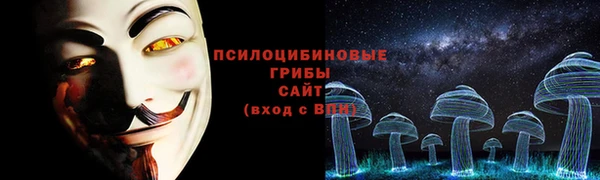 дживик Надым