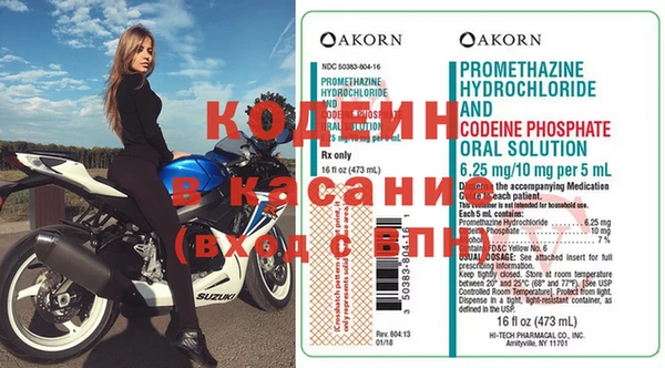 прущие грибы Чекалин