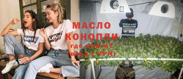 дживик Надым