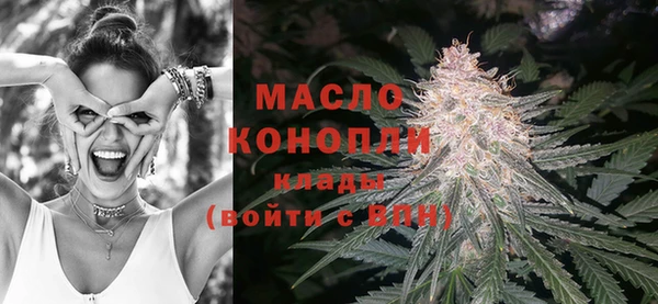 дживик Надым