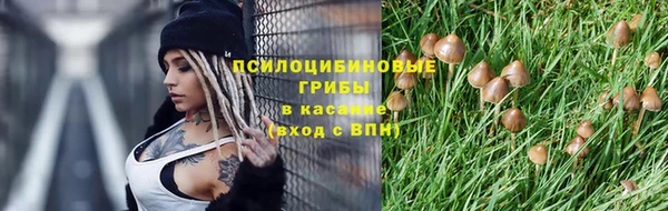 дживик Надым