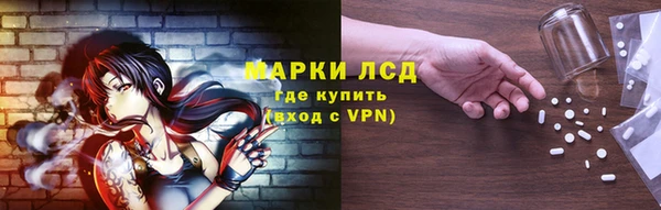 дживик Надым