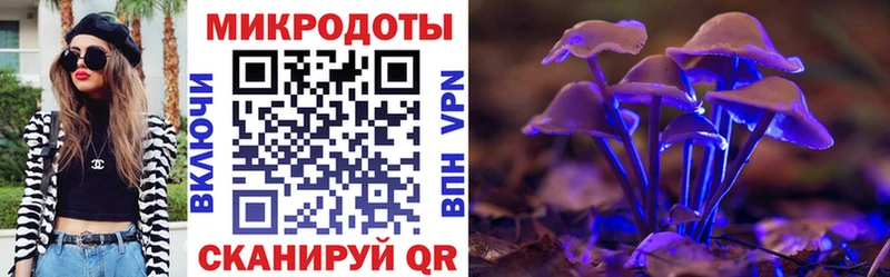 Галлюциногенные грибы ЛСД  купить наркоту  Шенкурск 